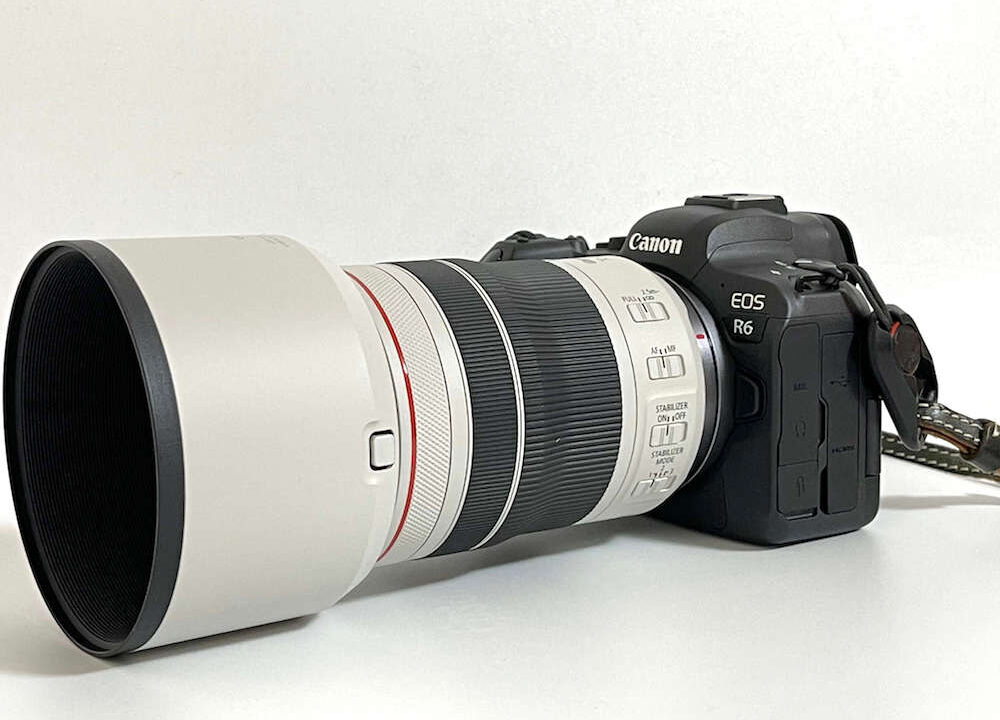 Canon】RF70-200mm F4L IS USMをレビュー！作例やポートレート作品も 